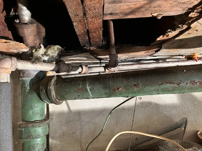 Rex & Sons Plumbing and Heating, Inc. Picture 2