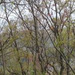 Yusella Plumbing & Heating