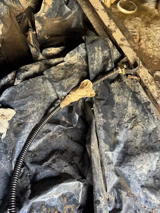 VICTORIA DRAIN CLEANING LLC Picture 5