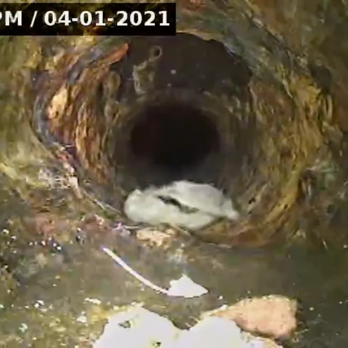 South jersey sewer inspections Picture 3