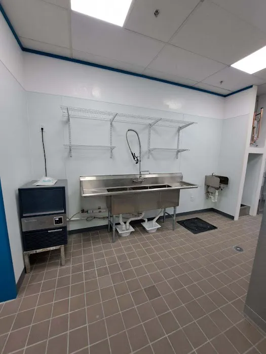 Walsh Plumbing Services LLC Picture 7