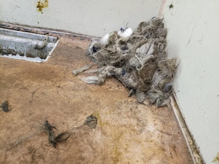 Cleanouts Sewer And Drain Cleaning Picture 5