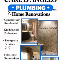 Carl D'Angelo Plumbing ico