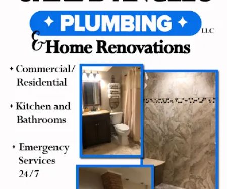 Carl D'Angelo Plumbing