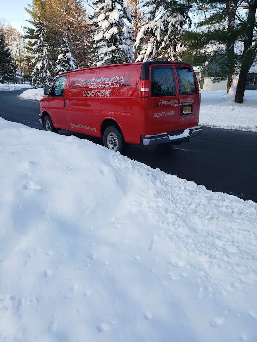 Algonquin Plumbing Picture 3