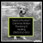 Andy Wotton Plumbing and Heating