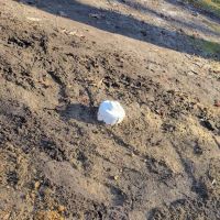 KBC Drain Cleaning and Maintenance LLC ico