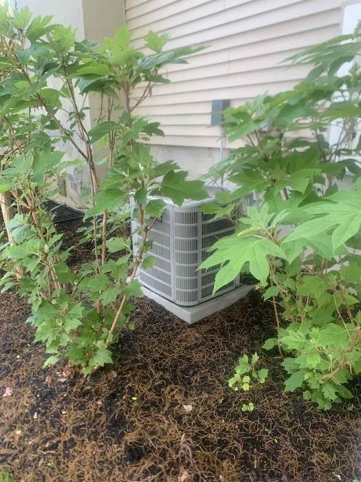 ASAP Plumbing, HVAC & Septic Picture 3