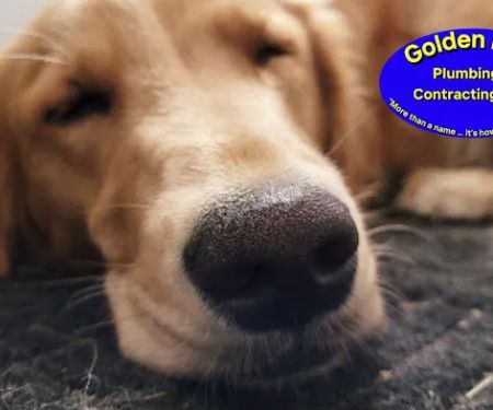 Golden Rule Plumbing & Contracting, LLC