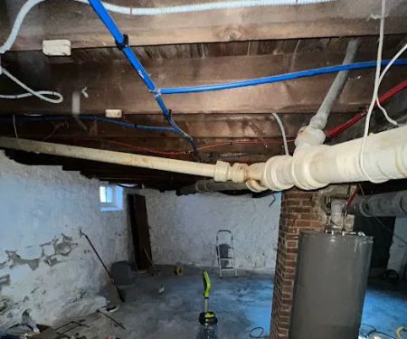 Master Rooter: Sewer and Drain Cleaning Service