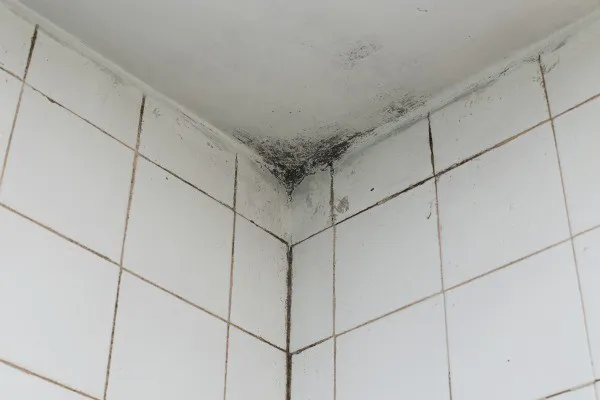Master Plumbers USA Picture 6