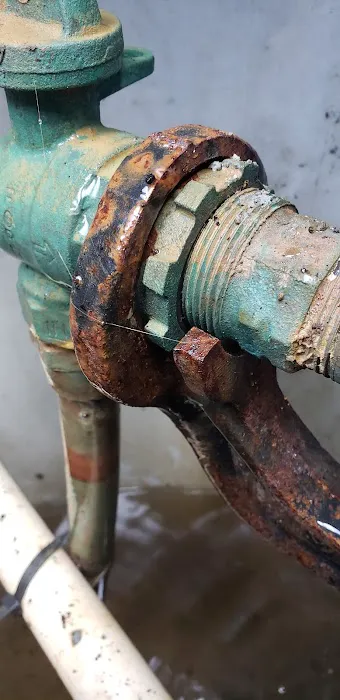 One Way Backflow Picture 4