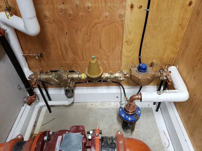 One Way Backflow Picture 5