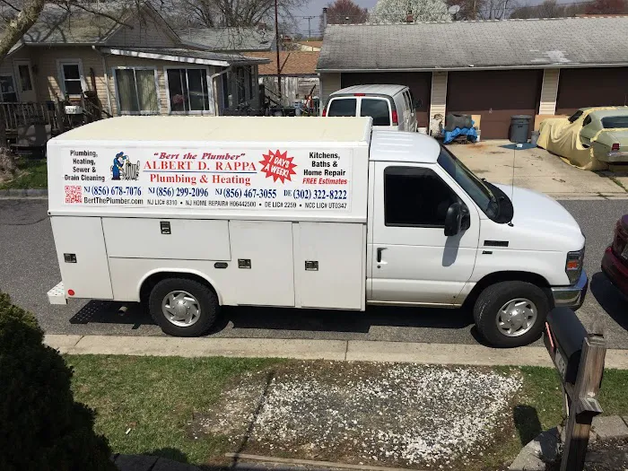 Bert the Plumber Picture 1