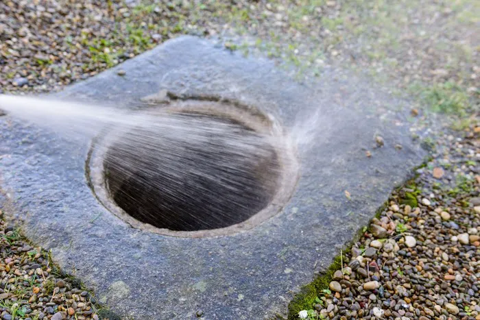 Profound Flow Drain Cleaning Picture 4