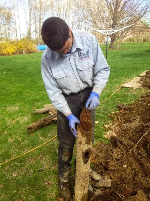 Rapid Service LLC Picture 6