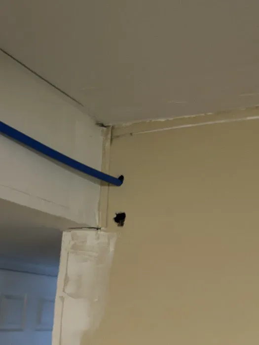 Stay True Plumbing Picture 5
