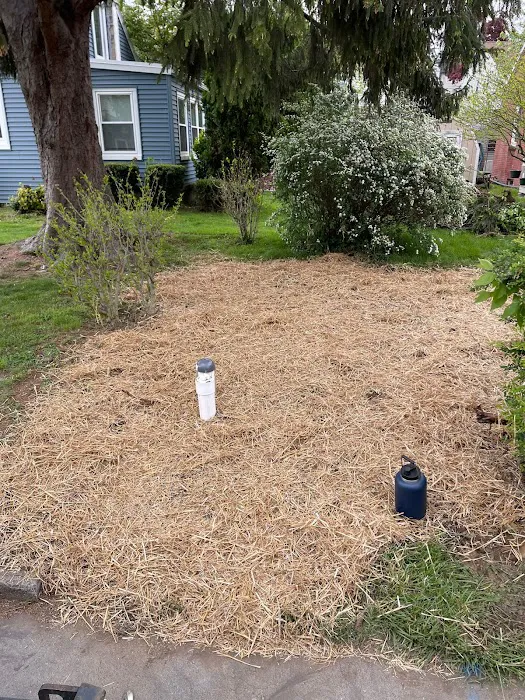 Spring Road Plumbing & Septic Repairs Picture 10