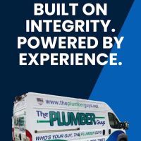 The Plumber Guys ico