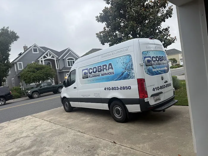 Cobra Plumbing Services Inc Picture 2