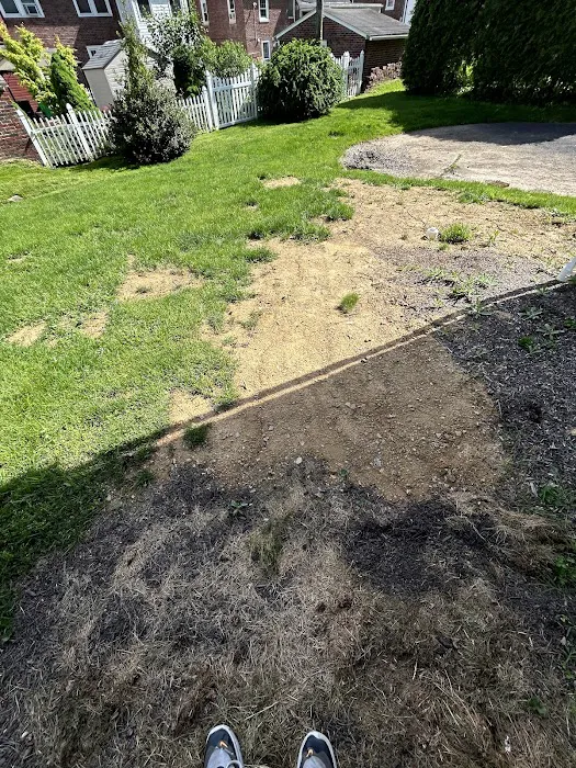 Drain Magic Picture 5