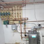 Wild Dogs Plumbing & Heating