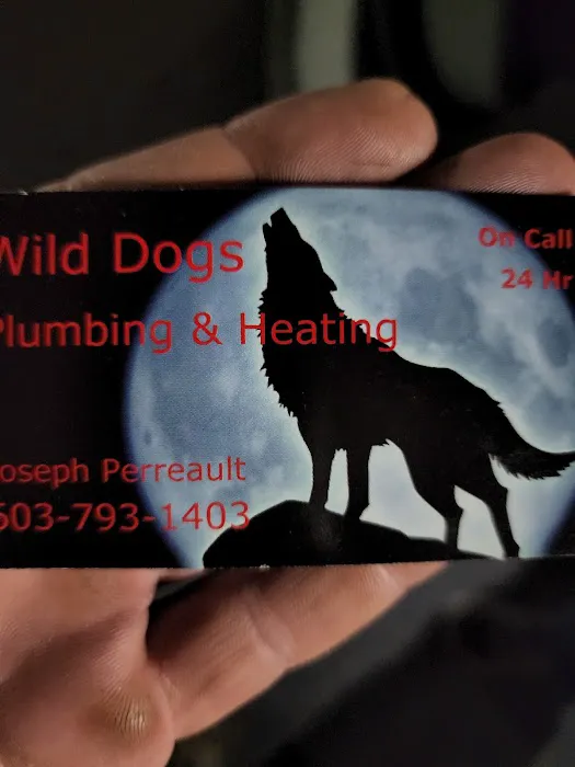 Wild Dogs Plumbing & Heating Picture 9