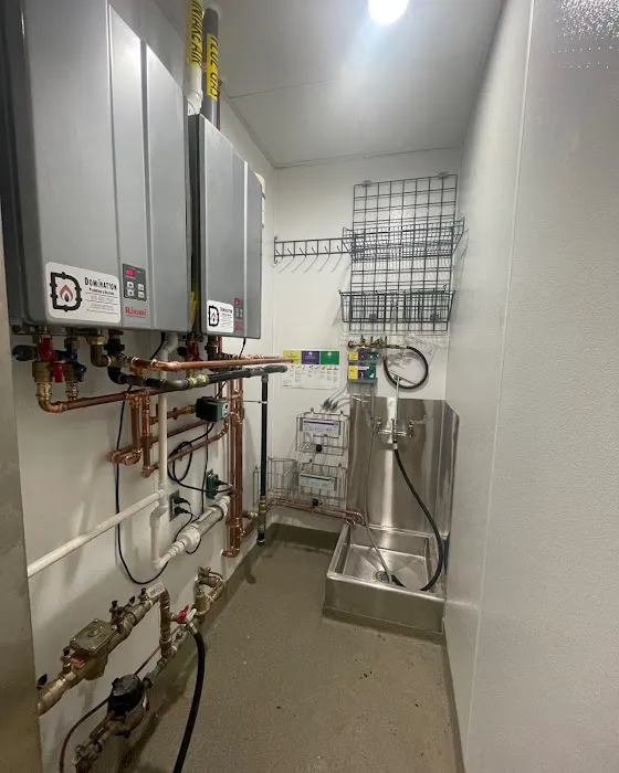 Domination Plumbing and Heating Picture 9