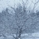 Bragdon Plumbing & Heating