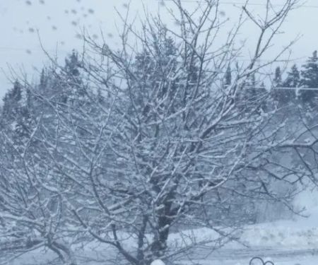 Bragdon Plumbing & Heating