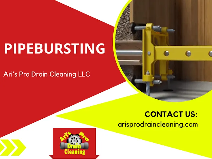 Ari's Pro Drain Cleaning Picture 2