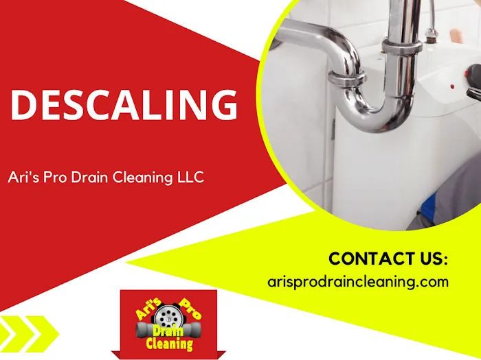 Ari's Pro Drain Cleaning Picture 1