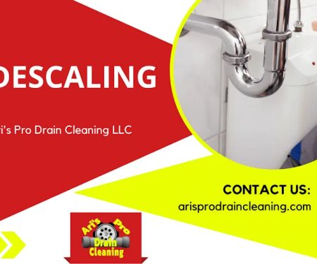 Ari's Pro Drain Cleaning