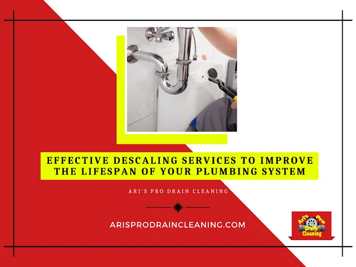 Ari's Pro Drain Cleaning Picture 5