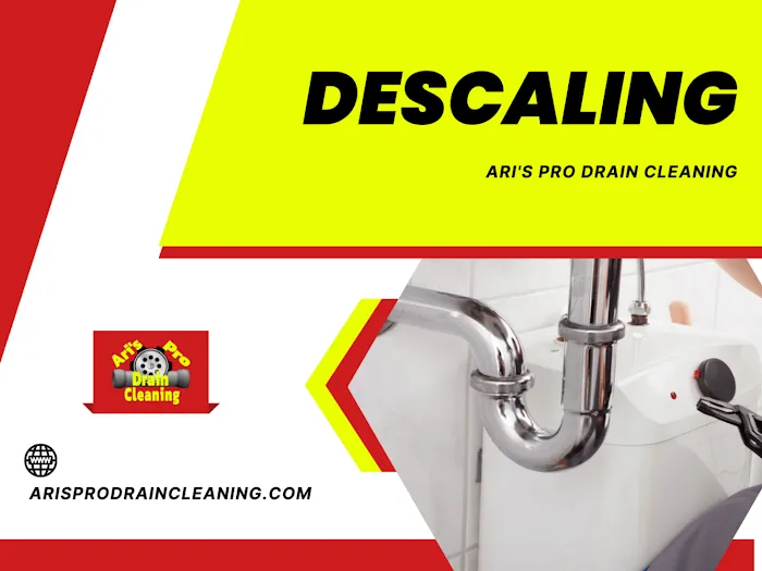 Ari's Pro Drain Cleaning Picture 9