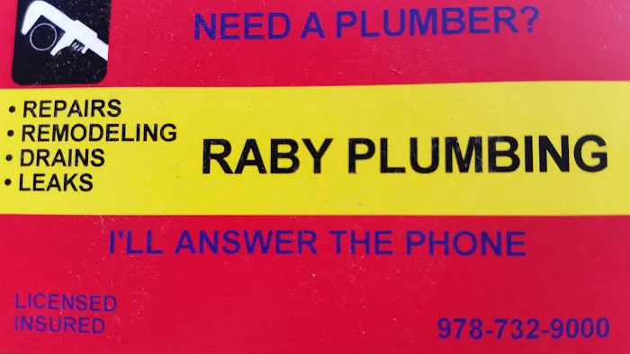 Raby Plumbing and Heating Picture 4