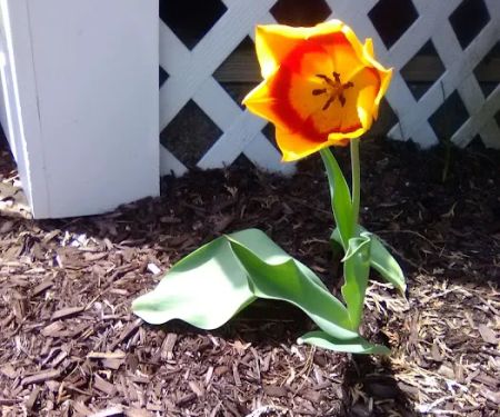 Harding Plumbing & Heating