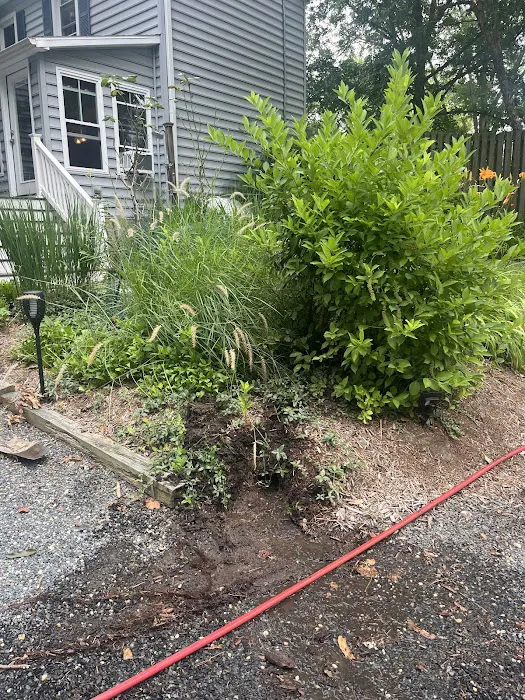 Roto-Rooter Plumbing & Water Cleanup of Delmarva Picture 6