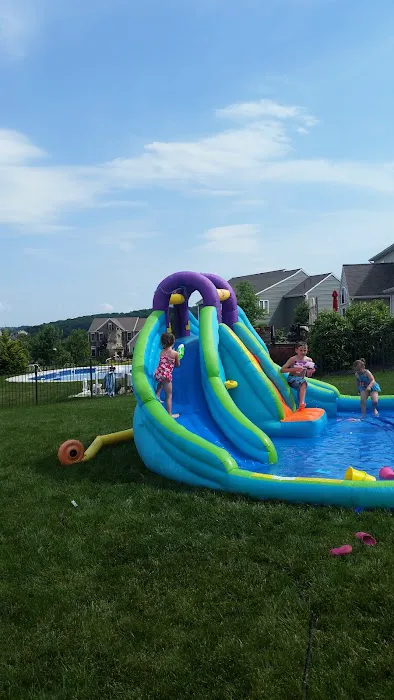 Zippyrooter of York PA Picture 4