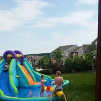 Zippyrooter of York PA ico