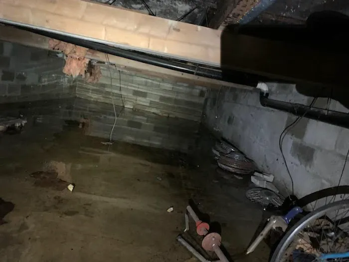 The Backflow Pro LLC Picture 3