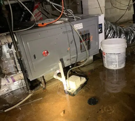 The Backflow Pro LLC Picture 2