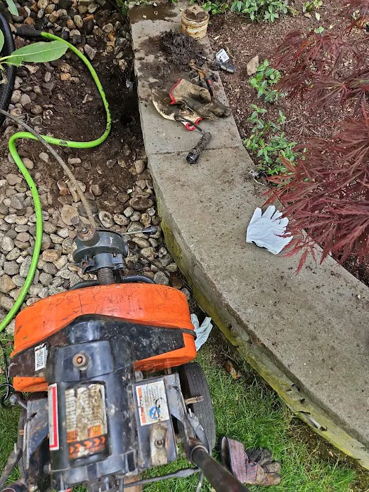 Remedy Drain Cleaning Picture 8
