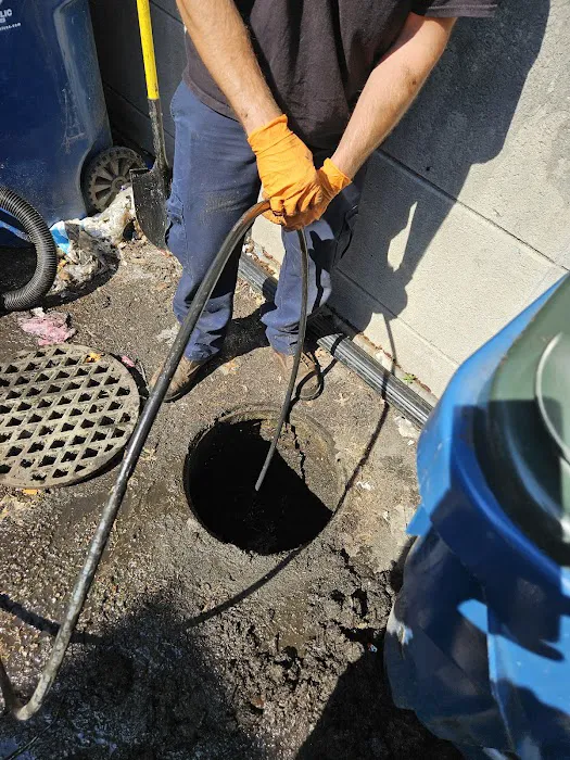 Remedy Drain Cleaning Picture 6