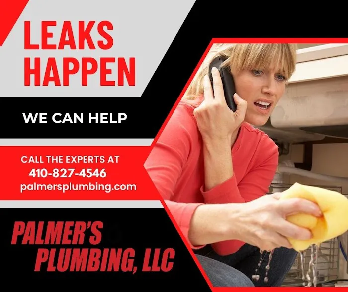 Palmer's Plumbing, LLC Picture 1