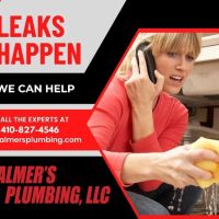 Palmer's Plumbing, LLC ico