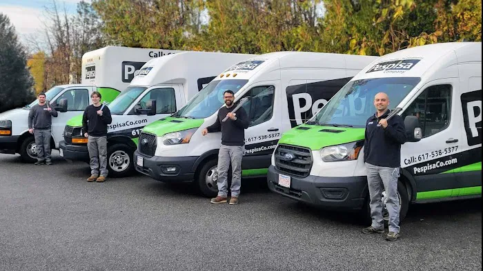 pespisa company Picture 1