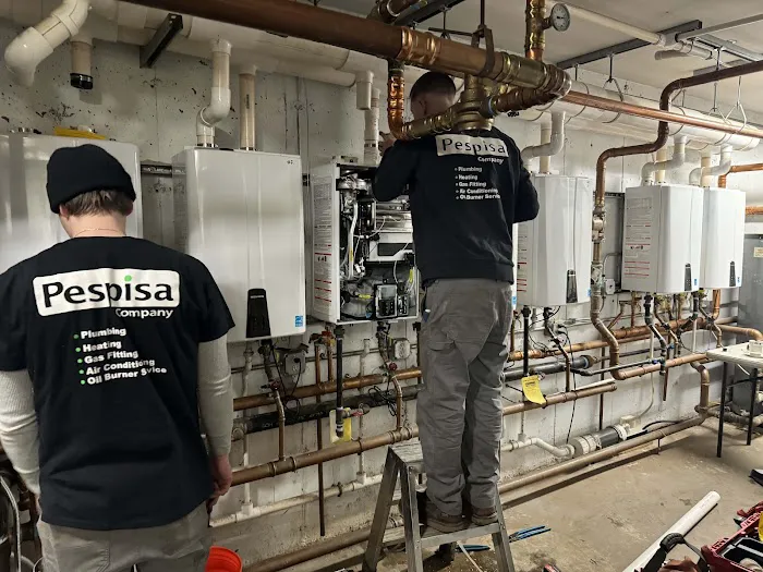 pespisa company Picture 10