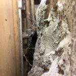 Green Energy AC Heating & Plumbing Repair