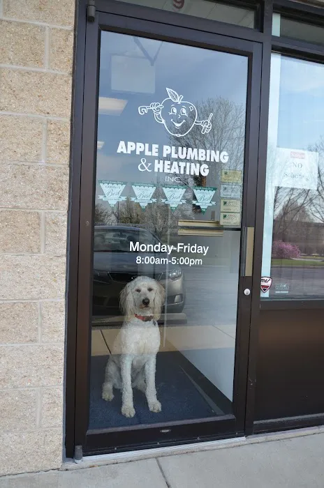 Apple Plumbing, Heating, & Air Picture 9